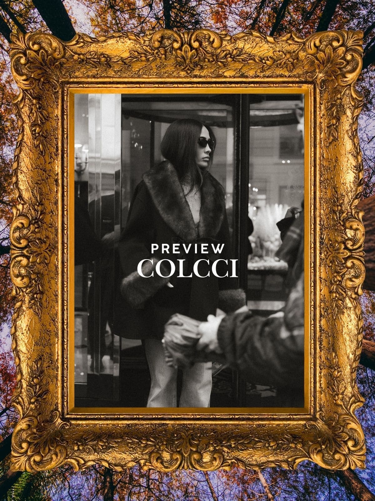 COLCCI